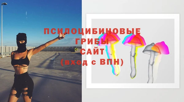 ПСИЛОЦИБИНОВЫЕ ГРИБЫ Абинск