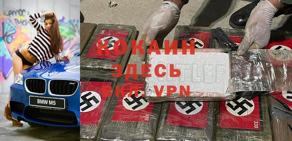 гидра Кодинск