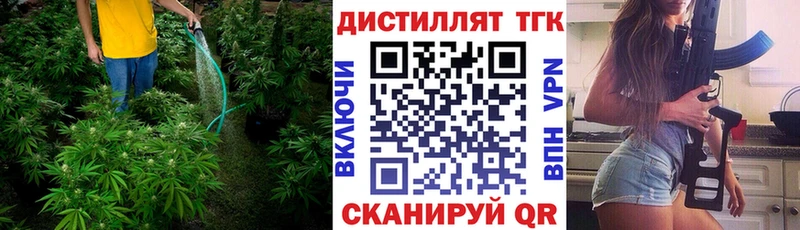 купить наркотики цена  Ржев  ТГК THC oil 