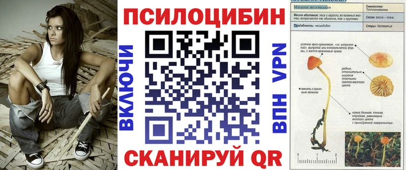 купить   Ржев  OMG tor  Галлюциногенные грибы мицелий 