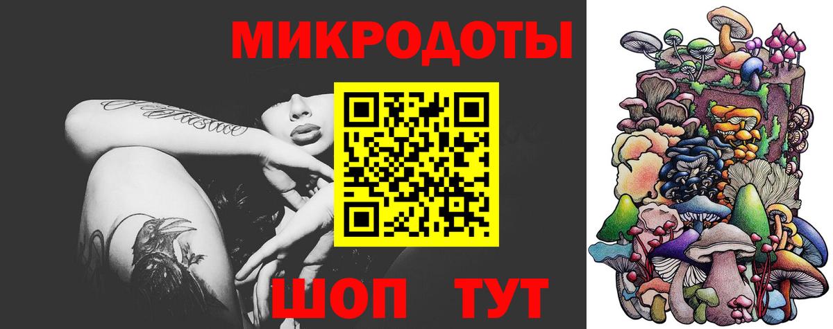 Псилоцибиновые грибы прущие грибы Ржев