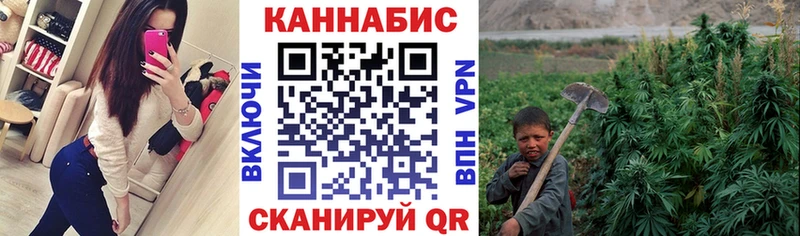Конопля гибрид  блэк спрут ссылки  Ржев  купить закладку 